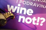 Wine not- vinski party Dravska prica  (3)