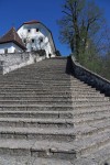 Bladski otocic  (1)