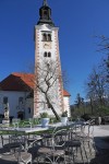 Bladski otocic  (2)